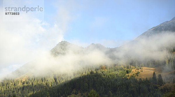 Berglandschaft im Nebel  Tirol  Österreich  Europa