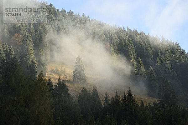 Berglandschaft im Nebel  Tirol  Österreich  Europa