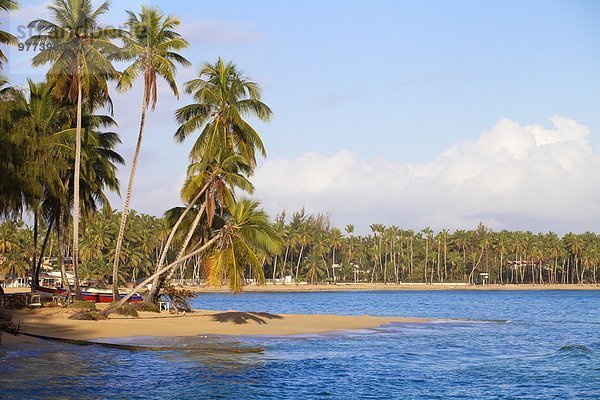 Strand Karibik Westindische Inseln Mittelamerika Dominikanische Republik