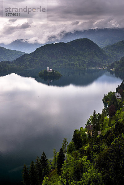 Europa Palast Schloß Schlösser See Menschliches Blut Ansicht Alpen Bled Slowenien