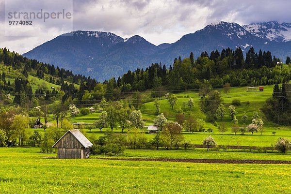 zwischen inmitten mitten Europa Landschaft See Menschliches Blut Alpen Nationalpark Triglav Bohinj typisch Bled Slowenien