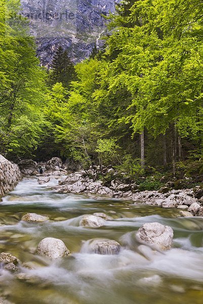 Europa Fluss Alpen Nationalpark Triglav Bohinj Slowenien