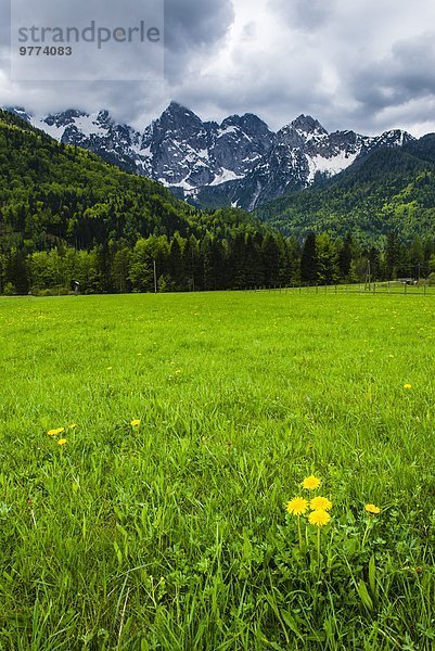 Außenaufnahme Europa Alpen Nationalpark Triglav Slowenien