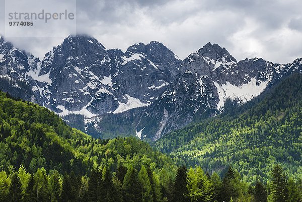 Außenaufnahme Europa Alpen Nationalpark Triglav Slowenien