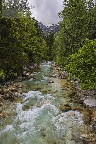 Nationalpark Europa Tal Fluss Alpen Slowenien