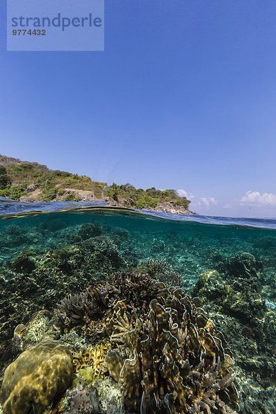 Unterwasseraufnahme unter Wasser Insel Südostasien Asien Indonesien Riff