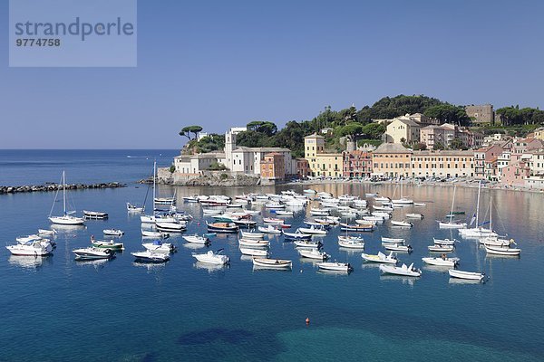 Europa Kirche Altstadt Bucht Italien Ligurien Sestri Levante Provinz Genua