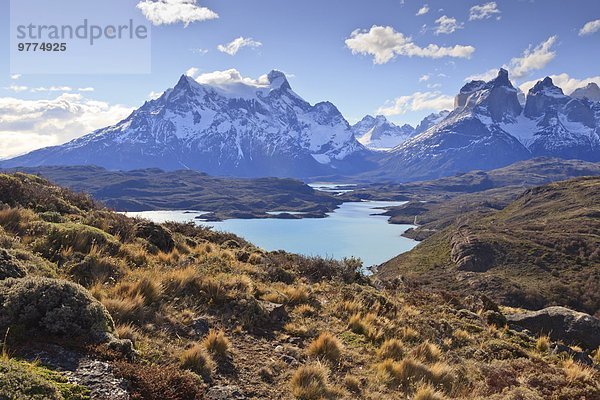 Nationalpark Lake Pehoe Wiese See Chile Patagonien Südamerika