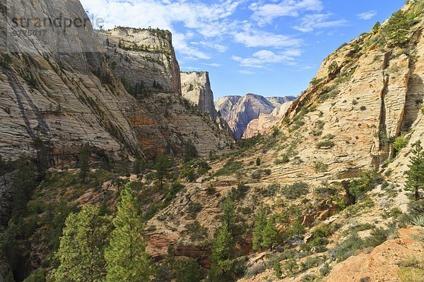 Felsbrocken Amerika Morgen aufspüren folgen über Nordamerika Verbindung zeigen Zion Nationalpark Schlucht Oktober Utah