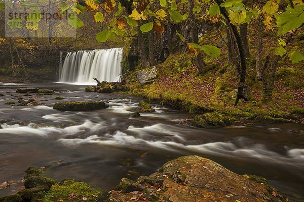 Europa Großbritannien Brecon Beacons National Park Powys Wales