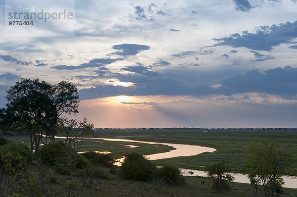 Afrika Botswana Chobe Nationalpark