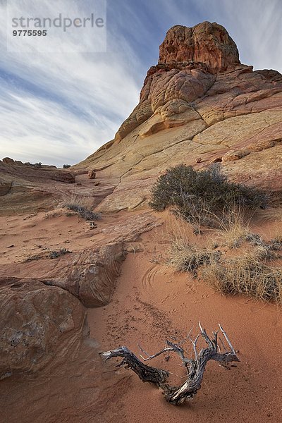 Amerika Wolke Steilküste Anordnung Monument Ast Nordamerika Arizona Verbindung Sandstein