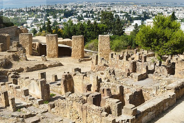 Nordafrika Tunis Hauptstadt UNESCO-Welterbe Afrika Karthago Tunesien