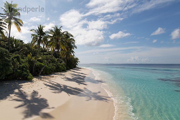 leer Tropisch Tropen subtropisch Botanik Strand Insel Malediven Asien Atoll Indischer Ozean Indik