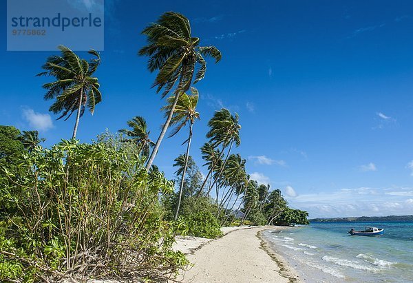 Strand weiß Sand Pazifischer Ozean Pazifik Stiller Ozean Großer Ozean Insel Tonga