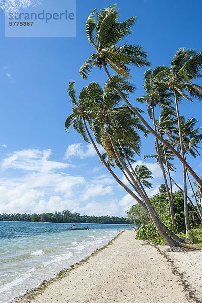 Strand weiß Sand Pazifischer Ozean Pazifik Stiller Ozean Großer Ozean Insel Tonga