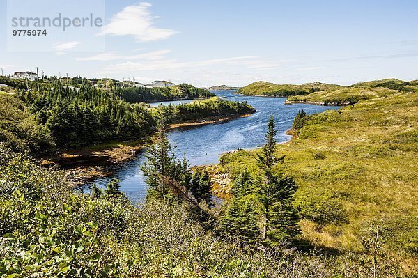 nahe Hafen Schönheit Nordamerika Neufundland Kanada Teich