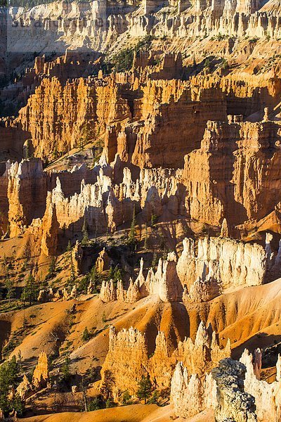 Nationalpark Amerika spät bunt Anordnung Nordamerika Verbindung Nachmittag Bryce Canyon Nationalpark Schlucht Sandstein Utah