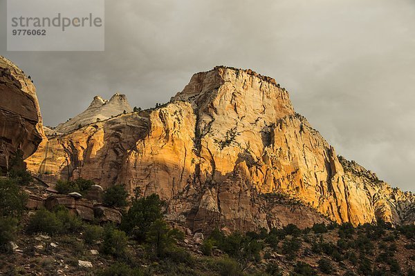 Nationalpark beleuchtet Amerika Morgen Steilküste Turm früh Nordamerika Sonnenlicht Verbindung Utah