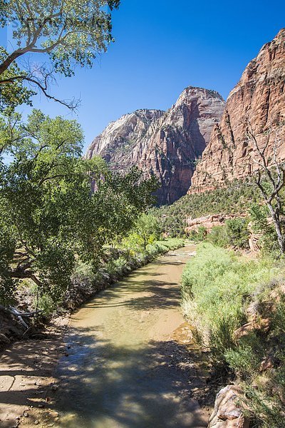 Nationalpark Amerika fließen Fluss Nordamerika Verbindung Regenwald Utah