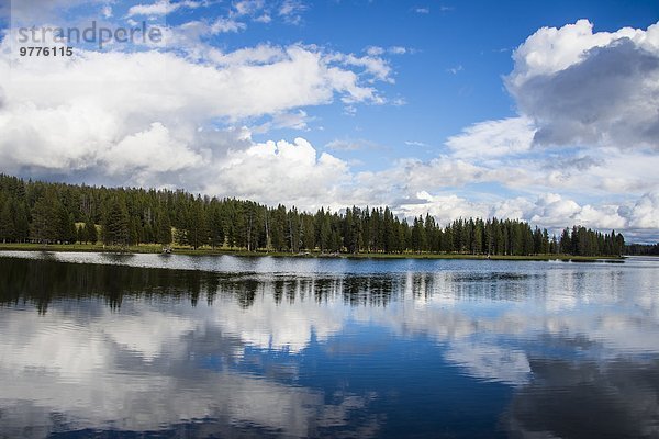 Amerika Wolke Spiegelung Fluss Nordamerika Verbindung Yellowstone Nationalpark UNESCO-Welterbe Wyoming