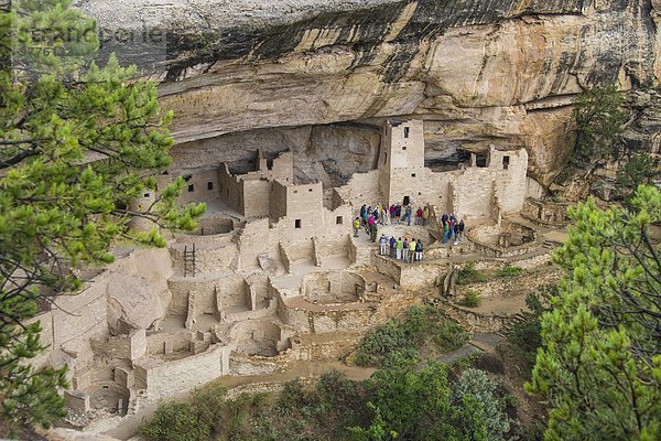 Amerika Gebäude Steilküste Palast Schloß Schlösser Indianer Nordamerika Verbindung UNESCO-Welterbe Colorado