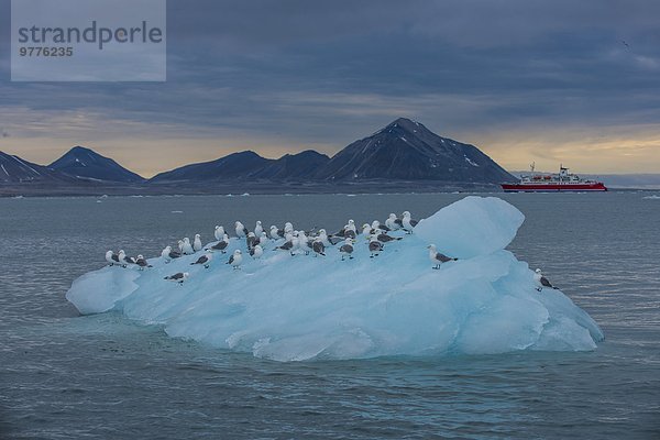 sitzend Europa Road Trip Boot Eis Hintergrund groß großes großer große großen Norwegen Spitzbergen Arktis Hornsund Skandinavien Svalbard