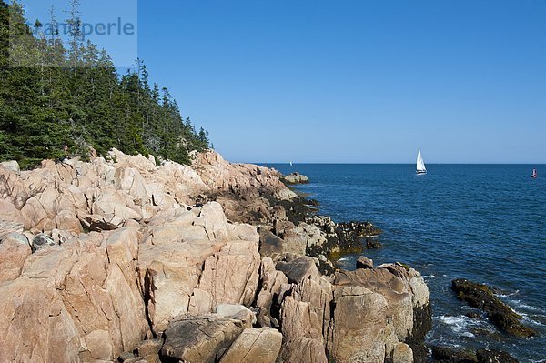 Fischereihafen Fischerhafen Segeln Felsen Amerika Steilküste Boot Leuchtturm Nordamerika Neuengland Verbindung Acadia Nationalpark Maine