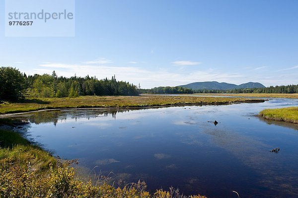 Nationalpark Amerika klein Nordamerika Bach Neuengland Verbindung Maine