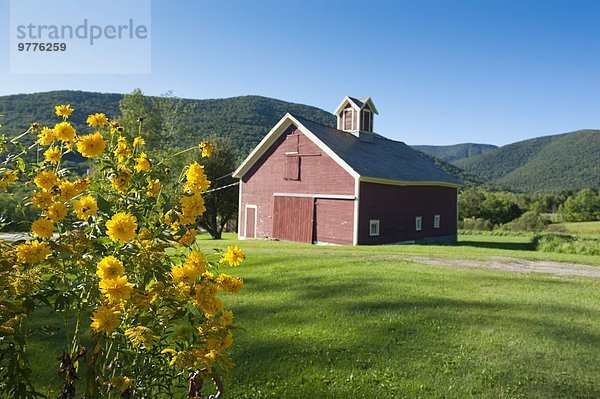 Berg Amerika klein Bauernhof Hof Höfe Nordamerika Neuengland Verbindung Dorset Vermont