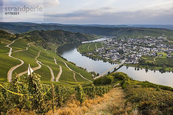 Europa Fluss Weinberg Deutschland Moseltal Piesport Rheinland-Pfalz