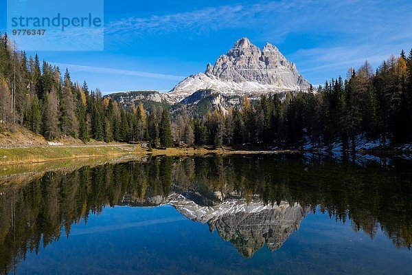 Europa Spiegelung See Dolomiten Venetien Belluno Italien