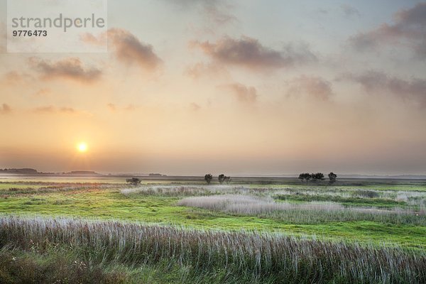Europa Sonnenuntergang Großbritannien über Sumpf England Suffolk