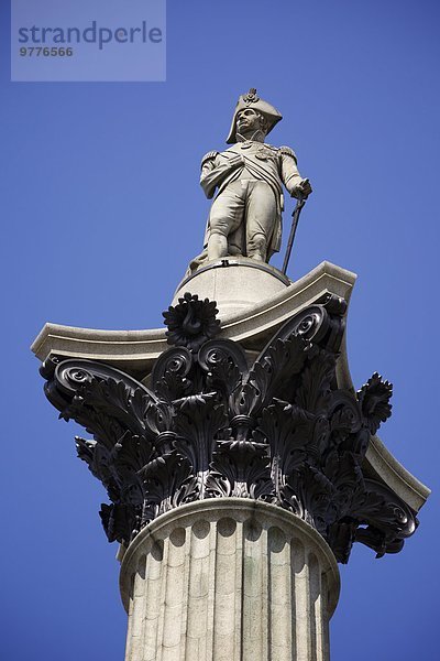 Nelsons Säule im Trafalgar Square  London  England  Großbritannien  Europa