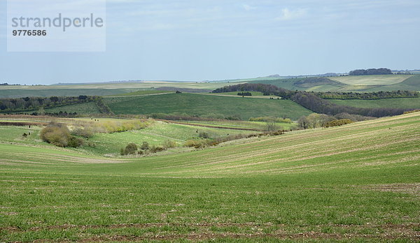 rollen Europa Großbritannien über Agrarland Ansicht England Wiltshire