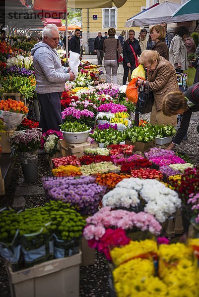 Ljubljana Hauptstadt Blumenmarkt Europa Blume Inhaber Mittelpunkt Markt Samstag Slowenien