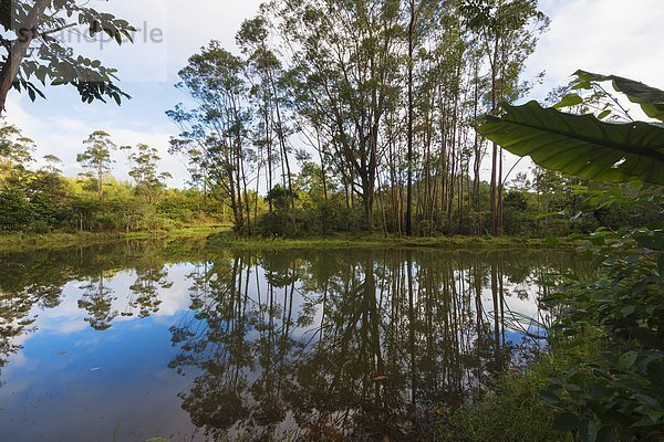 Afrika Madagaskar Teich