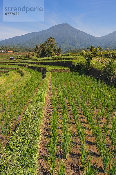 Südostasien UNESCO-Welterbe Asien Indonesien