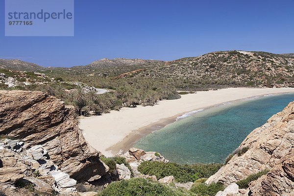 Europa Strand Baum Wald Palme Kreta Griechenland Griechische Inseln