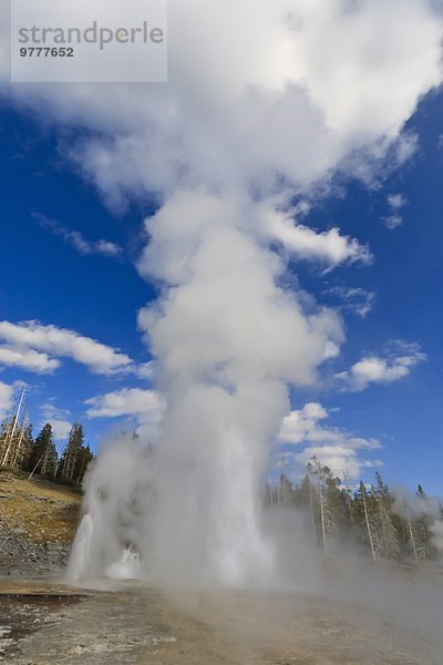 Amerika Vulkanausbruch Ausbruch Eruption Geysir Ehrfurcht Nordamerika Verbindung UNESCO-Welterbe Yellowstone Nationalpark Turban Wyoming