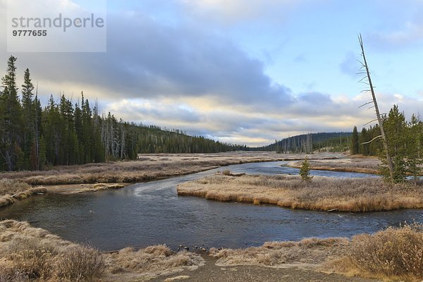 Amerika Morgen Fluss früh Verbindung UNESCO-Welterbe Yellowstone Nationalpark Wyoming