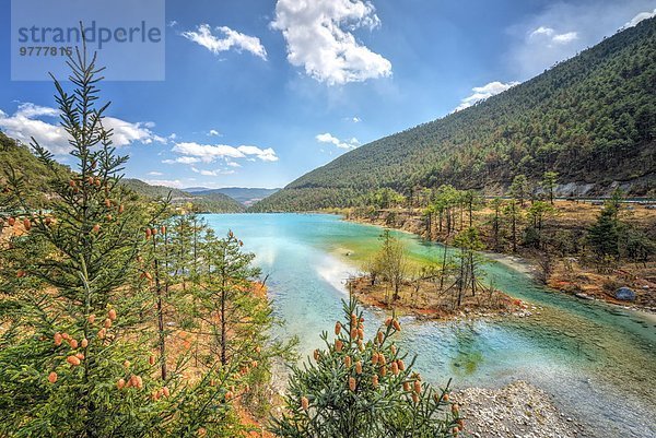 Wasser Baum weiß Fluss Kiefer Pinus sylvestris Kiefern Föhren Pinie China Asien Yunnan