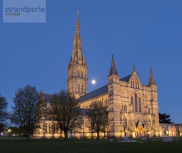 Europa Großbritannien England Salisbury Salisbury Cathedral Wiltshire