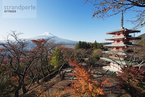 Berg UNESCO-Welterbe Fuji Asien Honshu Japan Shintoismus Schrein