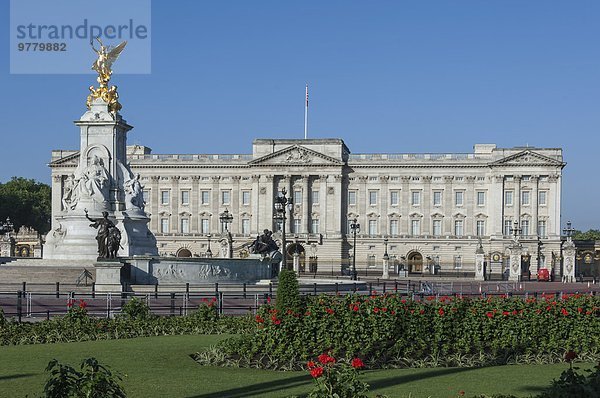 Geranien im Buckingham Palace  London  England  Großbritannien  Europa