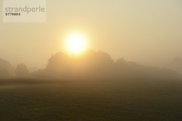 Landschaft im Nebel  Oberpfalz  Bayern  Deutschland  Europa