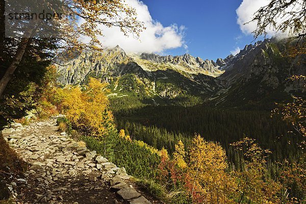 hoch oben Europa Weg Zimmer Wanderweg Slowakei