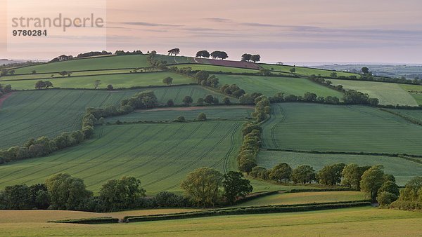 rollen Europa Schönheit Ländliches Motiv ländliche Motive Sommer Großbritannien England