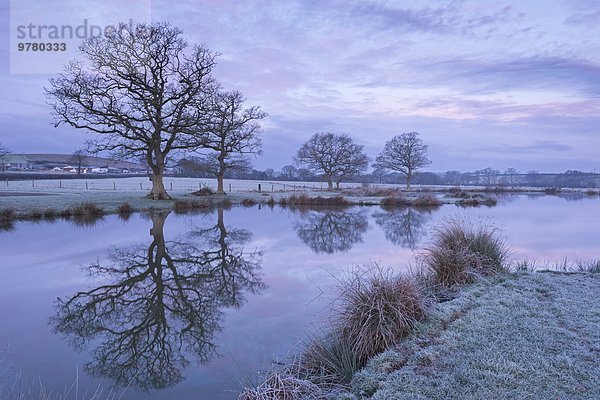 Ländliches Motiv ländliche Motive nebeneinander neben Seite an Seite Europa Winter Morgen Großbritannien Kälte Devon England Teich
