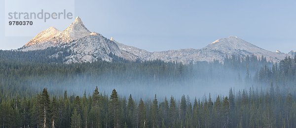 Berg Amerika über Dunst Wald Berggipfel Gipfel Spitze Spitzen Nordamerika Kiefer Pinus sylvestris Kiefern Föhren Pinie Verbindung UNESCO-Welterbe Wolkengebilde Yosemite Nationalpark Kalifornien Einhorn